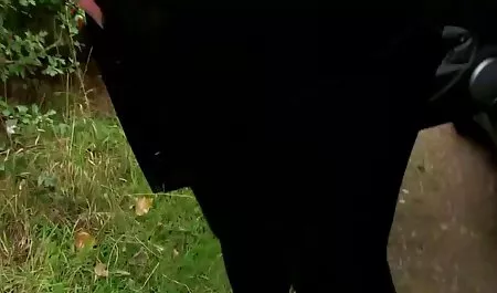 Panas rambut merah titit streaming vidio xxx jepang besar anal ejakulasi di dalam