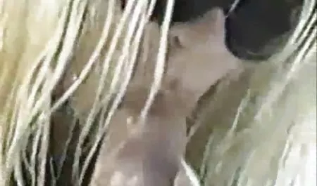 Toket kencang Helena mendapatkan vidio bokep japan xxx ditabrak oleh dua orang
