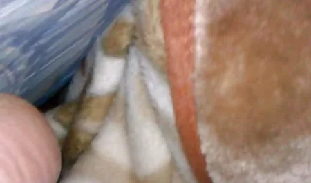milf berdenyut kontol vidio bokep japan xxxx